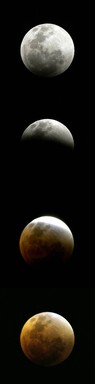  Ok, surely someone has to send in their moon pic from the red eclipse the other night. My hands have gone hairy.
